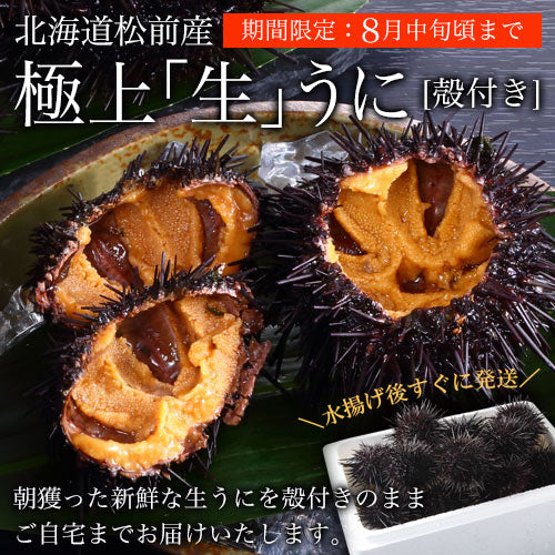 北海道産うにの通販 松前町から新鮮なウニをお届けします-上野屋