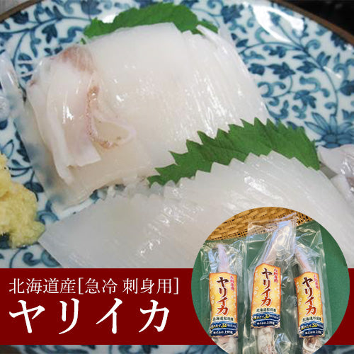 北海道産 ヤリイカ 冷凍・刺身用