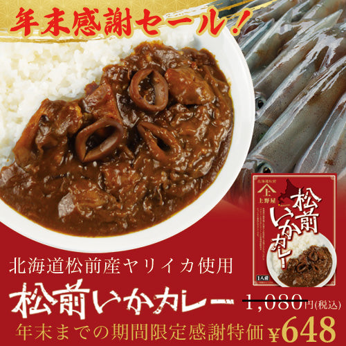 北海道産ヤリイカ使用 松前いかカレー