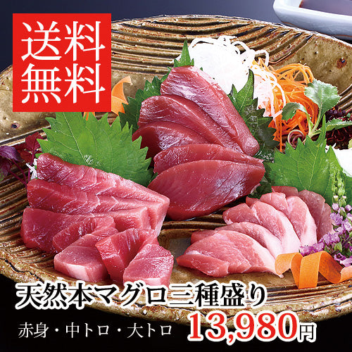 【送料無料】天然本マグロ 赤身・中トロ・大トロ お得な三種盛り