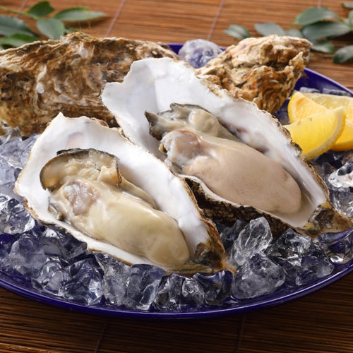 北海道産生ガキ