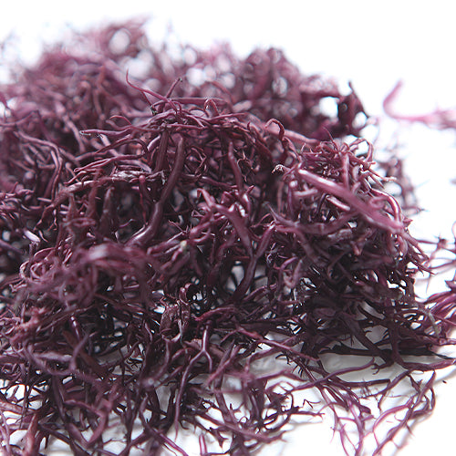 北海道松前産 乾燥ふのり